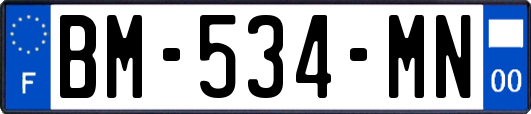 BM-534-MN