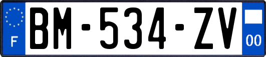 BM-534-ZV