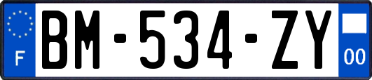 BM-534-ZY