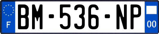 BM-536-NP