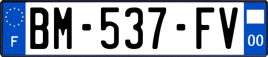 BM-537-FV