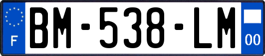 BM-538-LM