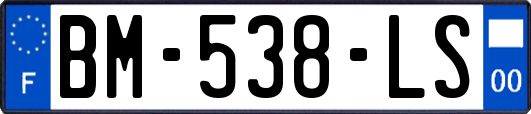 BM-538-LS