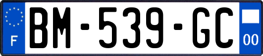 BM-539-GC