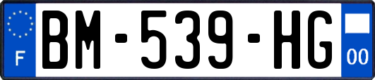 BM-539-HG