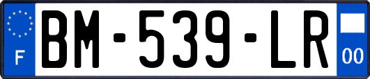BM-539-LR