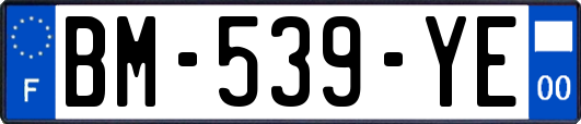 BM-539-YE