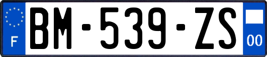 BM-539-ZS