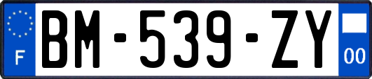 BM-539-ZY