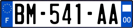 BM-541-AA