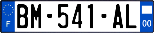 BM-541-AL