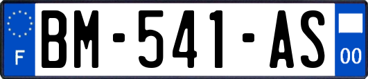 BM-541-AS