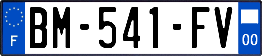 BM-541-FV