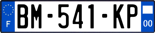 BM-541-KP
