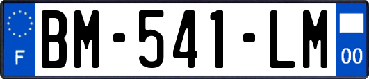 BM-541-LM