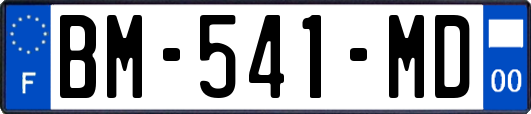 BM-541-MD