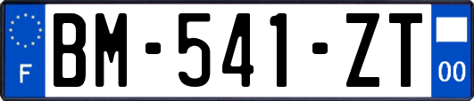 BM-541-ZT