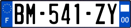 BM-541-ZY