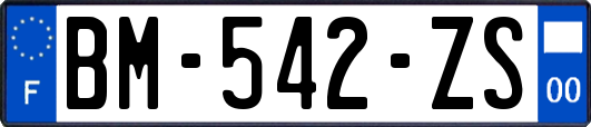 BM-542-ZS