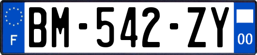 BM-542-ZY