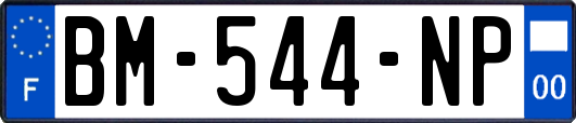 BM-544-NP