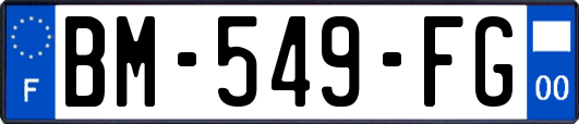 BM-549-FG