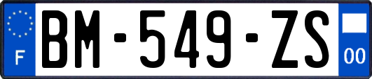 BM-549-ZS