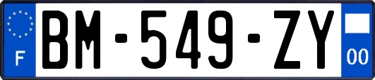 BM-549-ZY