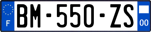 BM-550-ZS