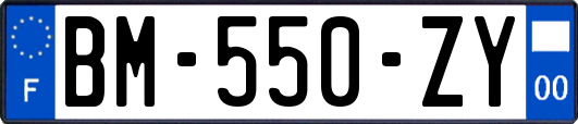 BM-550-ZY