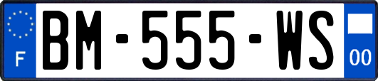 BM-555-WS