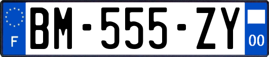 BM-555-ZY