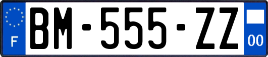 BM-555-ZZ