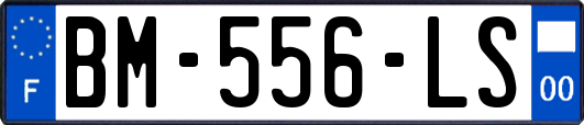 BM-556-LS