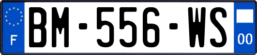 BM-556-WS