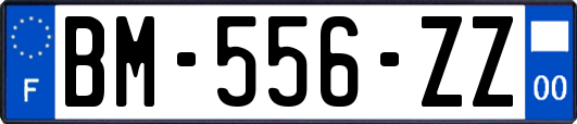 BM-556-ZZ