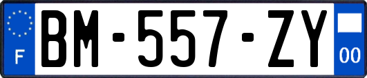 BM-557-ZY