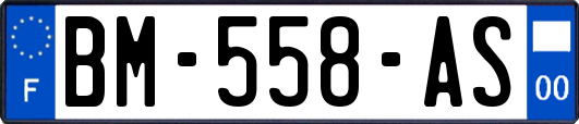 BM-558-AS