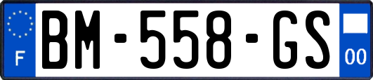 BM-558-GS