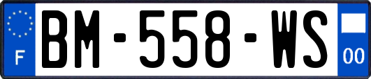 BM-558-WS