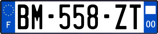 BM-558-ZT