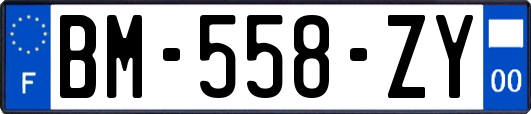 BM-558-ZY