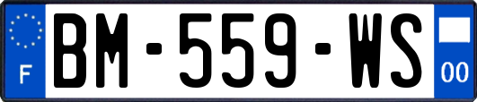 BM-559-WS