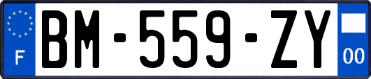 BM-559-ZY