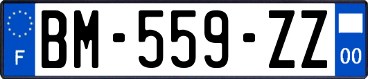 BM-559-ZZ