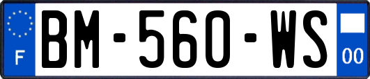 BM-560-WS
