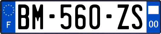 BM-560-ZS