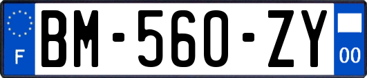 BM-560-ZY