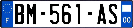 BM-561-AS