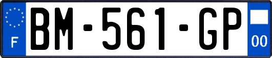 BM-561-GP